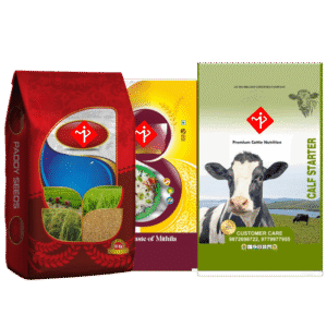 Rotogravure Printed Flexible Laminates